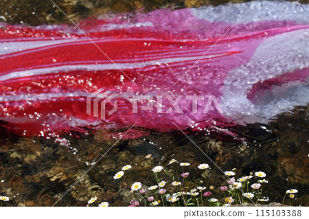 Tottori - Four Seasons Walk - Seto River, where carp streamers fly 115103388