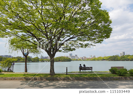 從大濠公園看到的風景 從大濠公園看到的風景 115103449