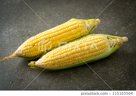 fresh corn on dark background 115103504