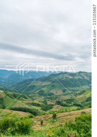 Doi Chang mountain hill at Chiang Mai in Thailand Doi Chang mountain hill at Chiang Mai in Thailand 115103667