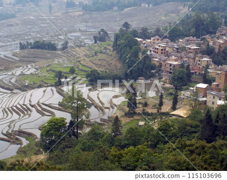 World Heritage: Red River Hani Rice Terraces and Villages World Heritage: Red River Hani Rice Terraces and Villages 115103696