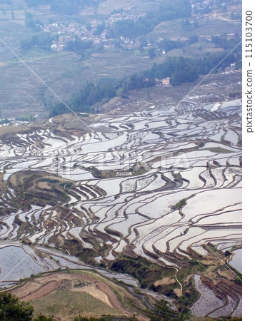 The world's most beautiful geometrically designed Hani rice terraces in the Red River The world's most beautiful geometrically designed Hani rice terraces in the Red River 115103700