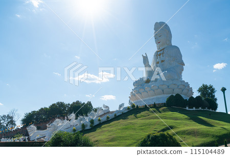 Wat Huay Pla Kang in Chiang Rai, Thailand 115104489
