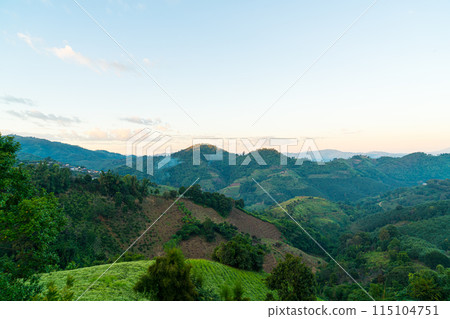 beautiful mountain hill with sky beautiful mountain hill with sky 115104751