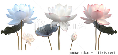 白色背景上各種顏色的蓮花 115105361