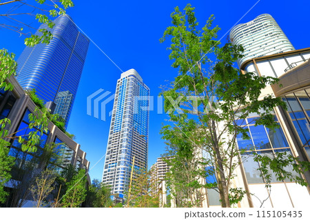 [Tokyo] Kaisei no Mori JP Tower and Garden Plaza Residence (Azabudai Hills) 115105435