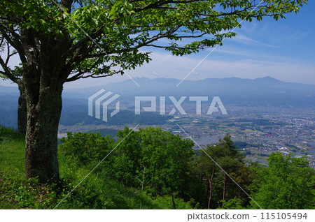 從長野縣佐久市的平尾富士（平尾山）眺望八嶽風景 115105494