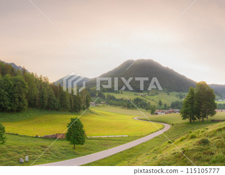 Meadow with road and bench during sunset in Berchtesgaden National Park Meadow with road and bench during sunset in Berchtesgaden National Park 115105777