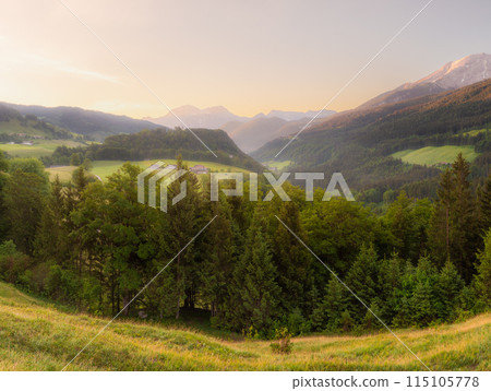 Meadow with road and bench during sunset in Berchtesgaden National Park Meadow with road and bench during sunset in Berchtesgaden National Park 115105778
