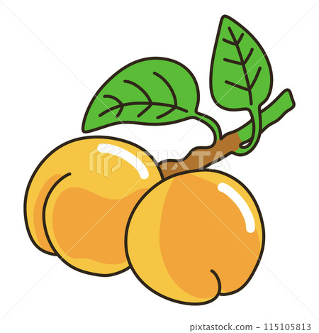 杏子 杏子 115105813