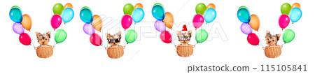 Funny cute dog flying in a basket with air balloons 115105841