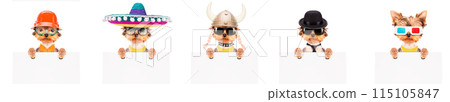 Adorable pups in different costumes like teacher, skier, gentlemen and worker 115105847