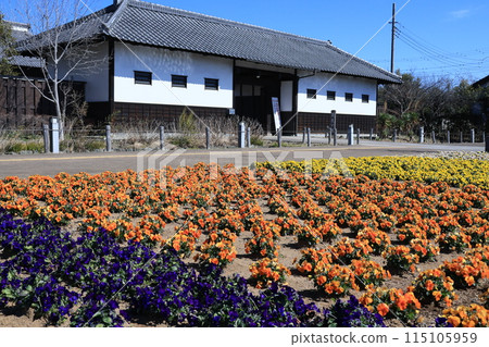 埼玉縣鴻巢市花久之鄉風景 115105959
