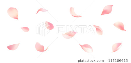 Beautifully dancing petals vector material 115106613