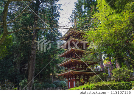 Nara Muroji Temple Five-story Pagoda Surrounded by Fresh Greenery Nara Muroji Temple Five-story Pagoda Surrounded by Fresh Greenery 115107136