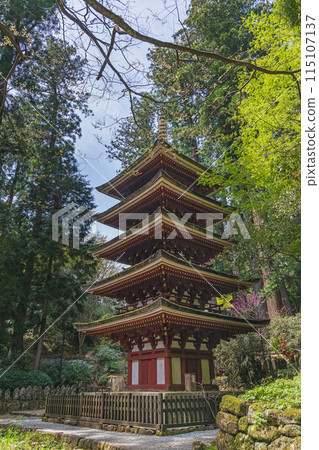 Nara Muroji Temple Five-story Pagoda Surrounded by Fresh Greenery Nara Muroji Temple Five-story Pagoda Surrounded by Fresh Greenery 115107137