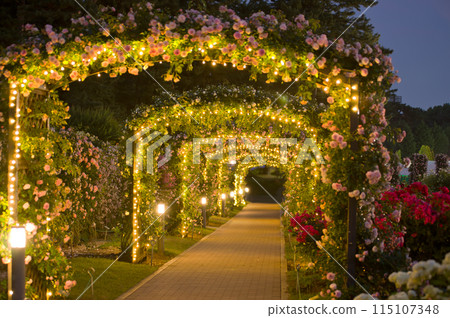 Illuminated Rose Arch Road 2 115107348