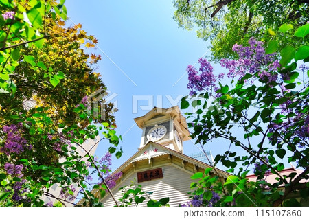 札幌市象徵樹丁香和札幌市鐘樓 115107860