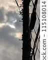 Power lines on a cloudy day 115108014