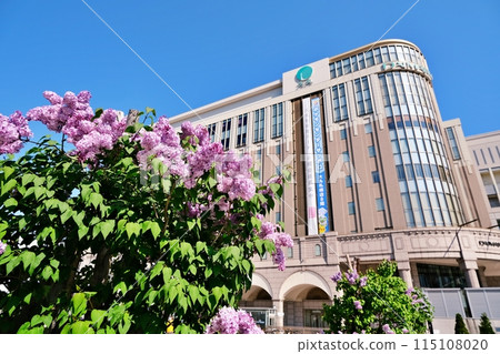 Lilac, the symbolic tree of Sapporo, and Daimaru Department Store Sapporo Lilac, the symbolic tree of Sapporo, and Daimaru Department Store Sapporo 115108020