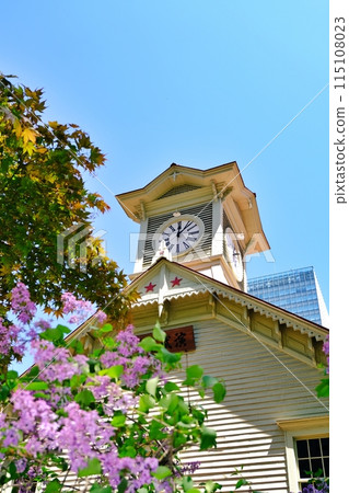 Sapporo's symbolic tree, the lilac, and the Sapporo Clock Tower 115108023
