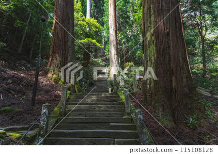 Scenery of the inner approach to Muroji Temple in Nara 115108128