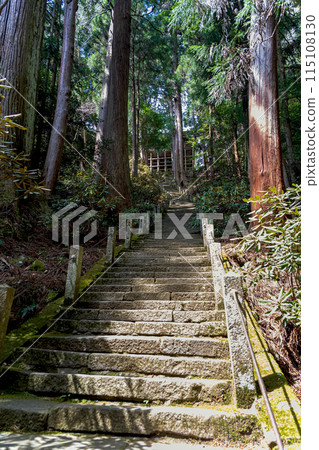 奈良室生寺奧之院參道風景 115108130
