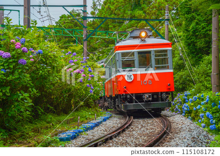 繡球花開箱根登山鐵道 115108172