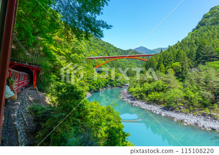 日本唯一一輛緩緩穿過山谷的 Abt 式列車 井川線 從車窗眺望的壯麗景色 115108220