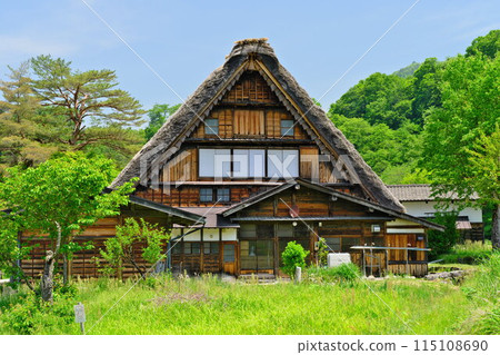 初夏的白川鄉合掌造風格，綠意盎然 115108690