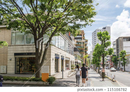 Daikanyama's main street, the fashionable streetscape along Hachiman-dori, Shibuya Ward, Tokyo Daikanyama's main street, the fashionable streetscape along Hachiman-dori, Shibuya Ward, Tokyo 115108782