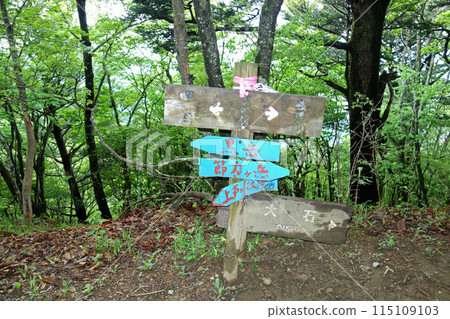 Signpost at Suzuran Pass (Kurodake ←→ Hafusan) (Kawaguchiko Town, Yamanashi Prefecture) Signpost at Suzuran Pass (Kurodake ←→ Hafusan) (Kawaguchiko Town, Yamanashi Prefecture) 115109103