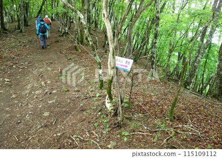 羽風山 ←→ 黑岳步道標誌(山梨縣笛吹市) 羽風山 ←→ 黑岳步道標誌(山梨縣笛吹市) 115109112