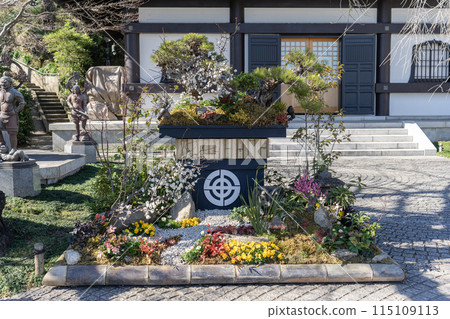 長谷寺壯觀的盆景 長谷寺壯觀的盆景 115109113