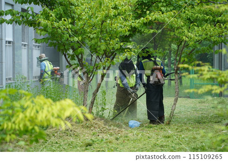 A worker is weeding using a weeder. 115109265