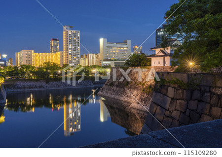 Osaka Castle: Night view of the South Outer Moat and First Tower from above the gangway at the Tamazukuri Gate Osaka Castle: Night view of the South Outer Moat and First Tower from above the gangway at the Tamazukuri Gate 115109280