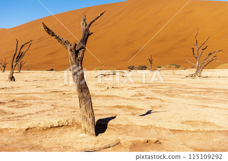 Barren landscape near Deadvlei and sossusvlei 115109292
