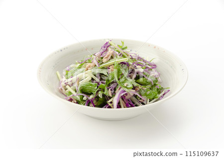 Purple cabbage and mizuna salad 115109637