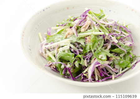 Purple cabbage and mizuna salad Purple cabbage and mizuna salad 115109639