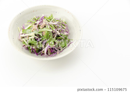 Purple cabbage and mizuna salad 115109675