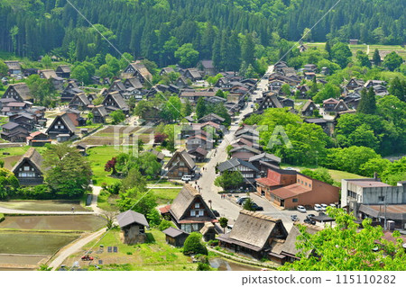 Shirakawa-go in early summer: A view of the Gassho village adorned with fresh greenery from the Ogimachi Castle Ruins Observatory Shirakawa-go in early summer: A view of the Gassho village adorned with fresh greenery from the Ogimachi Castle Ruins Observatory 115110282