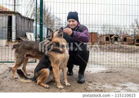 Girl volunteer in the nursery for dogs. Shelter for stray dogs. 115110615