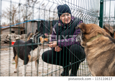 Girl volunteer in the nursery for dogs. Shelter for stray dogs. 115110617