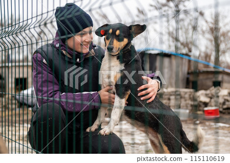 Girl volunteer in the nursery for dogs. Shelter for stray dogs. Girl volunteer in the nursery for dogs. Shelter for stray dogs. 115110619