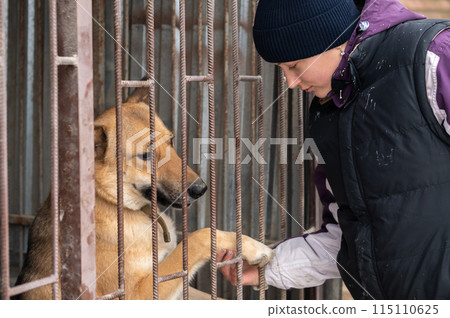Girl volunteer in the nursery for dogs. Shelter for stray dogs. 115110625