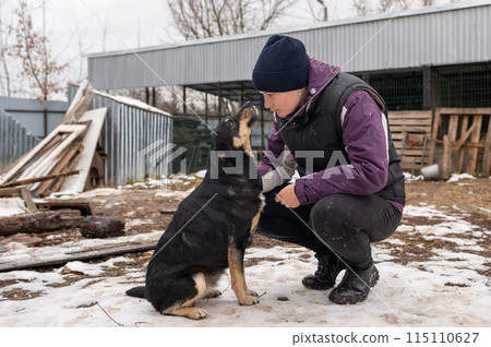 Girl volunteer in the nursery for dogs. Shelter for stray dogs. 115110627