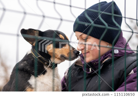 Volunteer in the nursery for dogs. Woman volunteer in a cage with a stray dog at an animal shelter 115110650