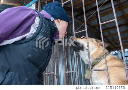 Girl volunteer in the nursery for dogs. Shelter for stray dogs. 115110653