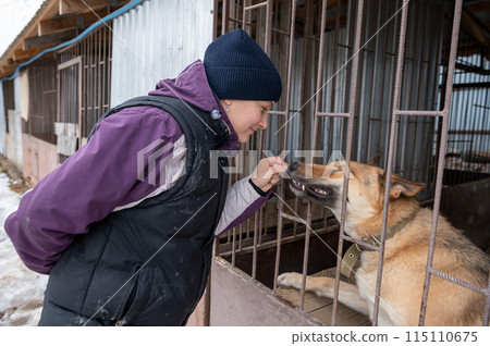 Girl volunteer in the nursery for dogs. Shelter for stray dogs. 115110675