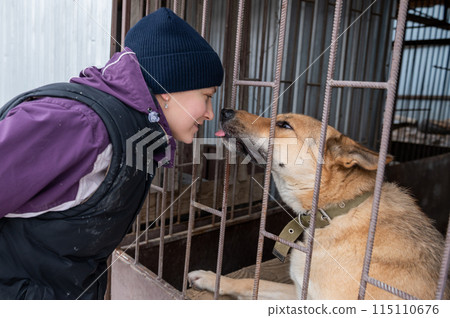 Girl volunteer in the nursery for dogs. Shelter for stray dogs. 115110676